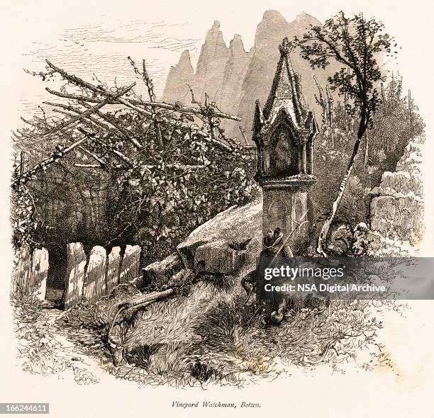 vineyard watchman, bolzano, italy (antique wood engraving) - agricultural field photos stock illustrations