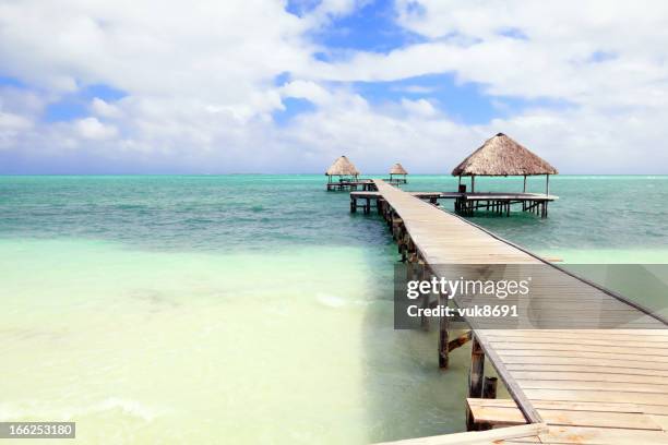 beautiful sandy beach - belize culture stock pictures, royalty-free photos & images