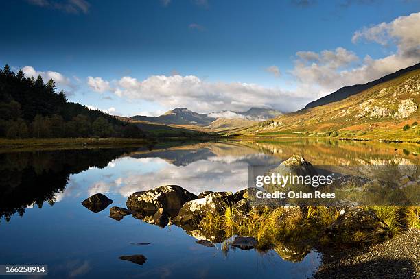 19 Osian Rees Stock Photos, High-Res Pictures, and Images - Getty Images
