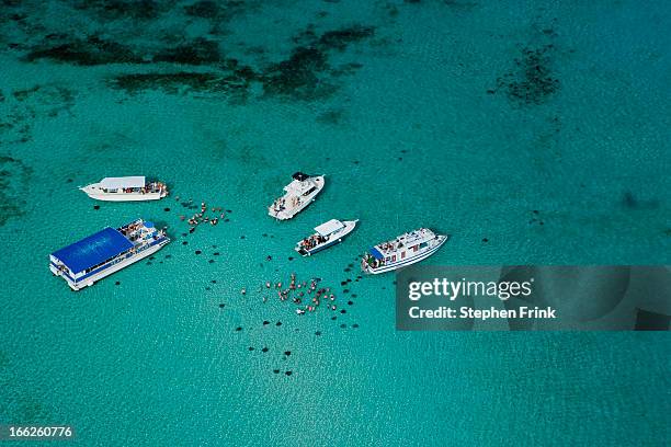 viewing stingrays at the sandbar - cayman island aerial stock pictures, royalty-free photos & images