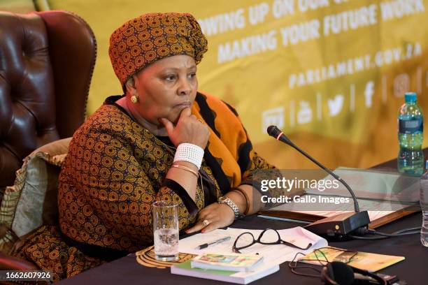 Mapisa 92 Nosiviwe Mapisa Nqakula Photos & High Res Pictures - Getty Images
