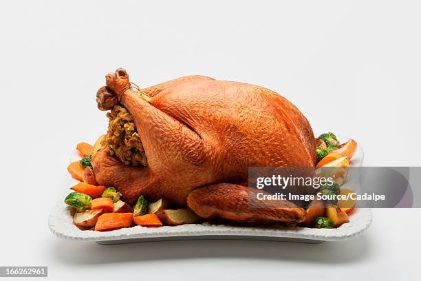 roast stuffed chicken with vegetables - thanksgiving plate of food fotografías e imágenes de stock