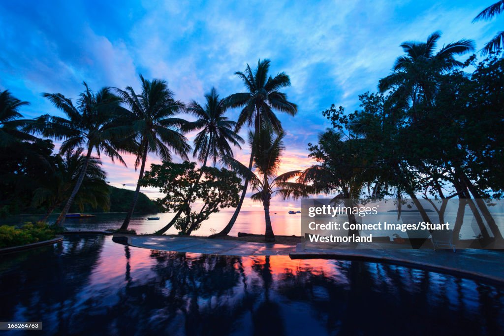 Silhouette of trees on tropical beach