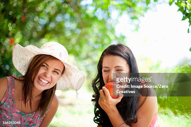 women picnicking together in park - apple bite out stock pictures, royalty-free photos & images