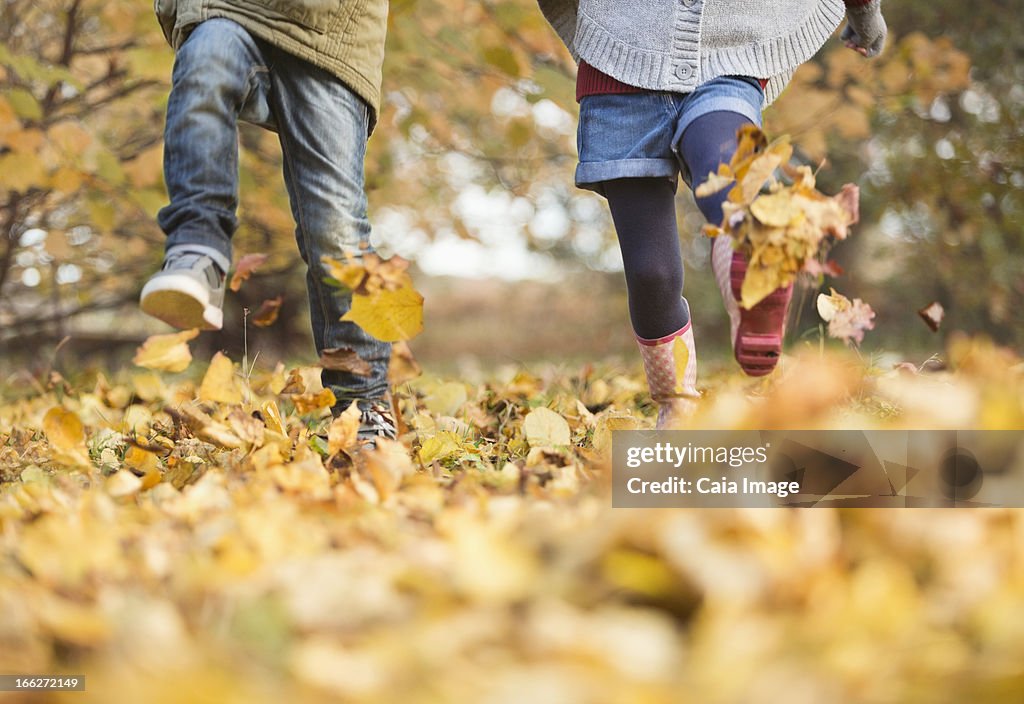 Children walking in autumn leaves