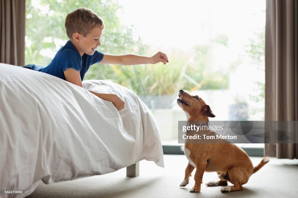 Junge gibt Leckerle im Schlafzimmer