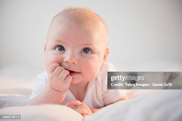 usa, new jersey, jersey city, portrait of baby boy (2-5 months) - baby boy stockfoto's en -beelden