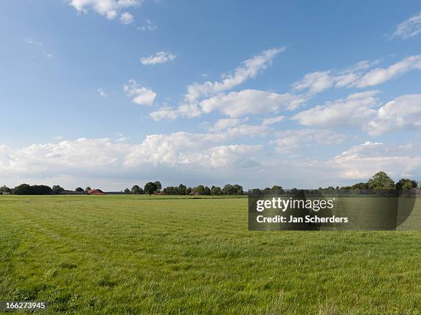 netherlands, hilvarenbeek, rural scenery - grazing land stock pictures, royalty-free photos & images