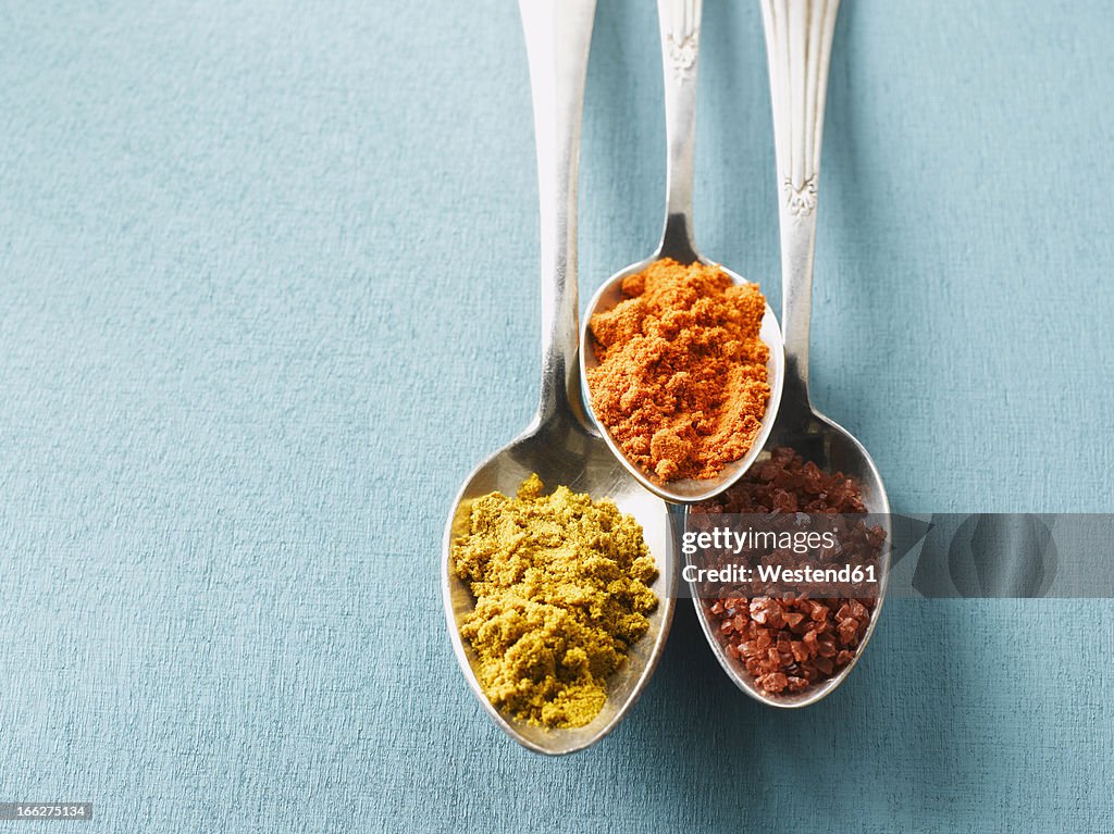 Cayenne pepper, Curry powder and rock salt on spoons, elevated view