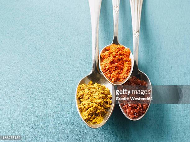 cayenne pepper, curry powder and rock salt on spoons, elevated view - curry powder stock pictures, royalty-free photos & images