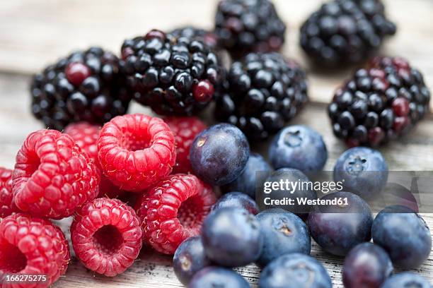 fresh berries - blackberry bildbanksfoton och bilder