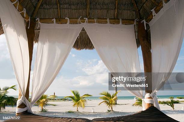 mexico, holbox island, canopy bed on beach, close-up - holbox island stockfoto's en -beelden