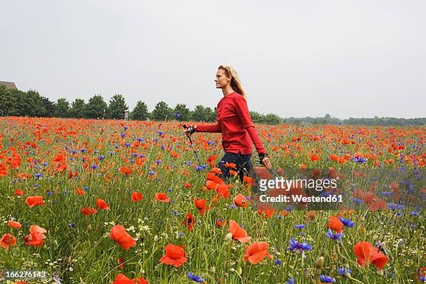 woman walking across poppy field - poppy flower stockfoto's en -beelden