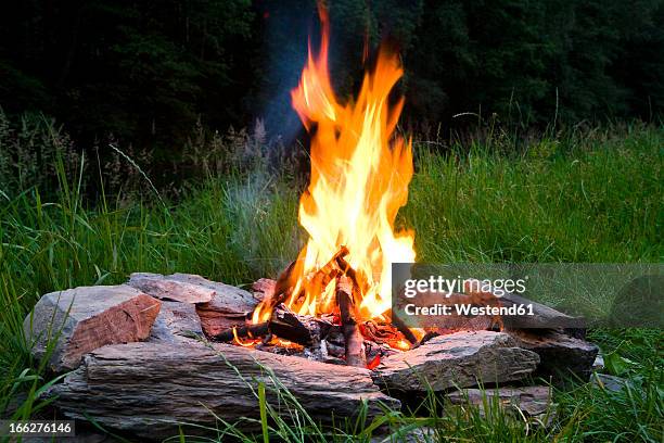 campfire at twilight - camp fire stock pictures, royalty-free photos & images