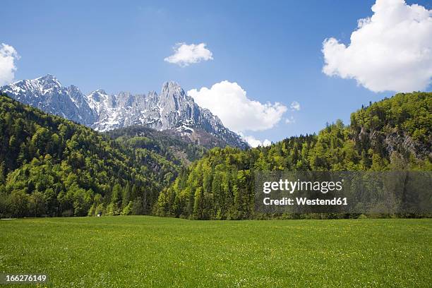 austria, tyrol, scenic view of meadow and mountains, wilder kaiser, kaisergebirge mountains - kaiser fotografías e imágenes de stock