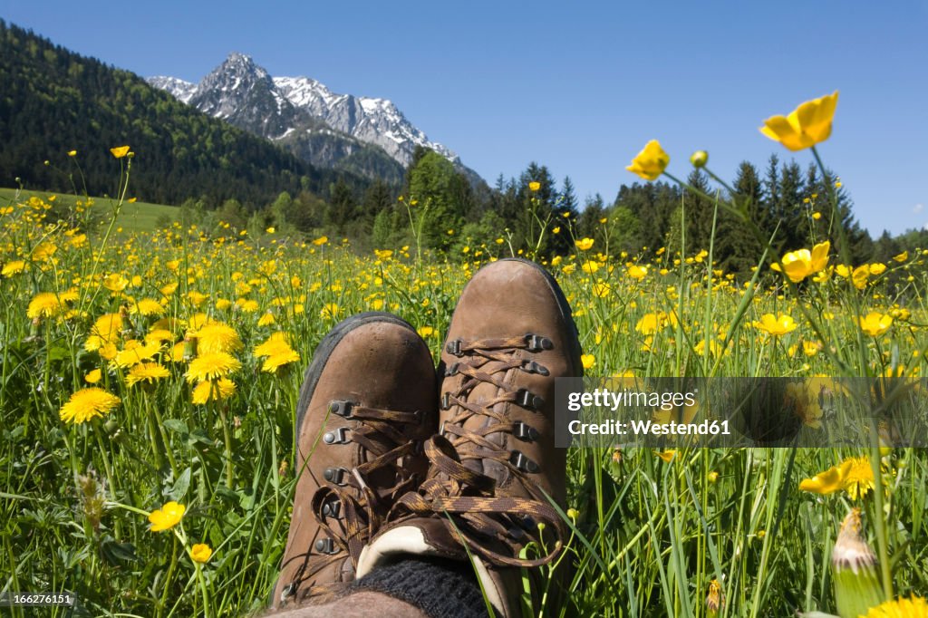 Austria, Tyrol, Kaisergebirge, Hiker relaxing on meadow, close-up
