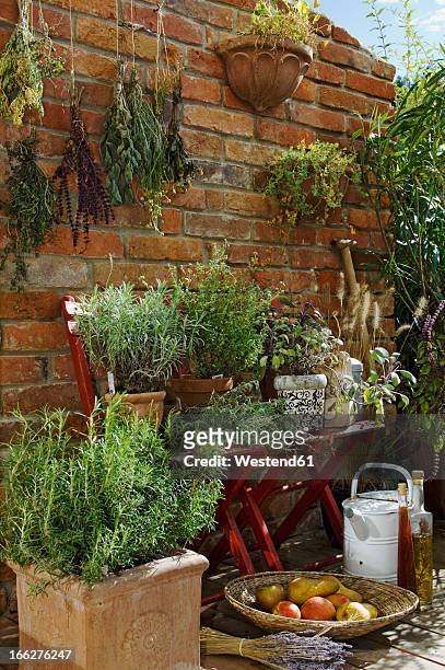 austria, salzburger land, dried herbs on brick wall, close up - hanging in garden stock-fotos und bilder