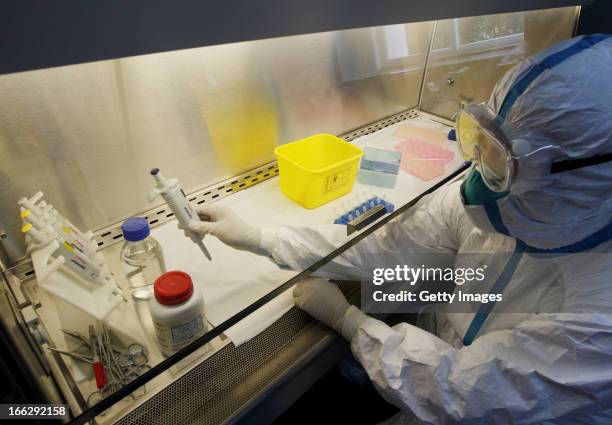 Technician conducts tests for the H7N9 bird flu virus at the Kunming Center for Disease Control on April 10, 2013 in Kunming, China. As of yesterday,...