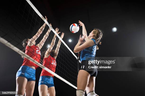 female volleyball players playing volleyball - volleying stock pictures, royalty-free photos & images