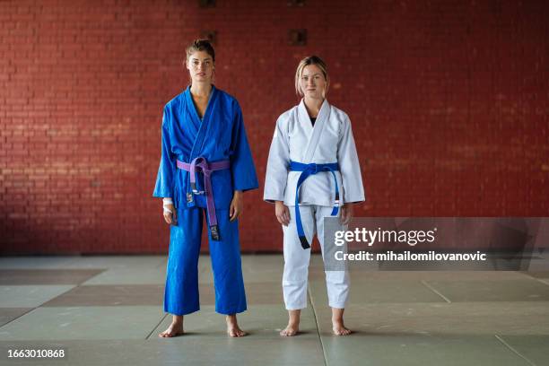 Dojo Workout 5,554 Dojo Stock Photos, High-Res Pictures, and Images - Getty Images