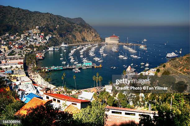 avalon midday - avalon insel catalina island kalifornien stock-fotos und bilder