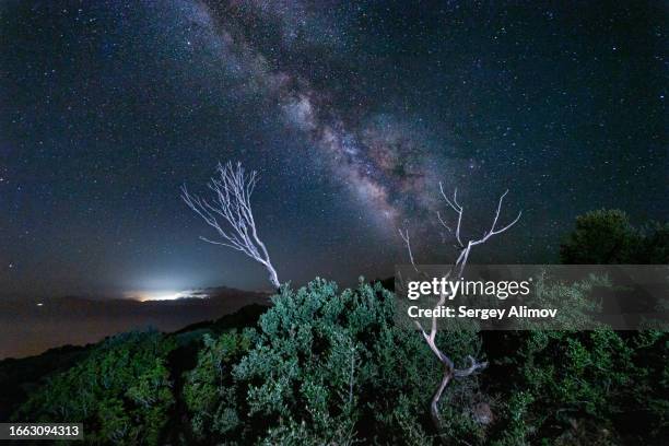 night mountain landscape with glowing milky way and illuminated foreground trees - symi stock pictures, royalty-free photos & images