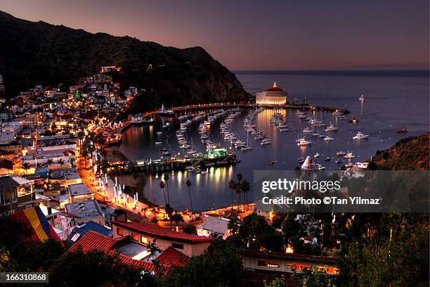 avalon at dusk - avalon catalina island california stock pictures, royalty-free photos & images