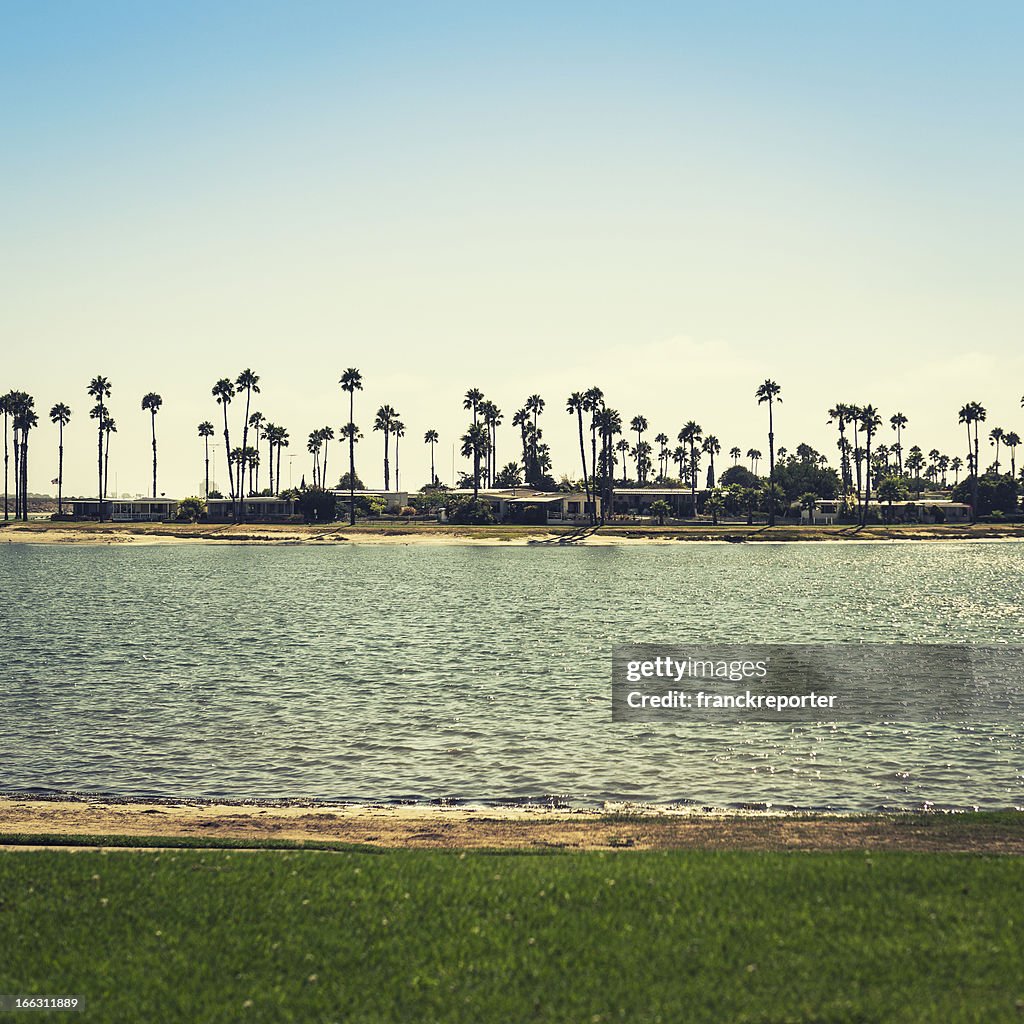 Palmeira da Ilha de san diego