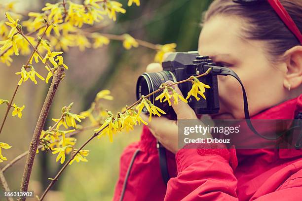 female photographer - spiegelreflexcamera stockfoto's en -beelden