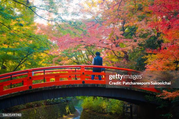 autumn in japan - the nomad hotel stock pictures, royalty-free photos & images