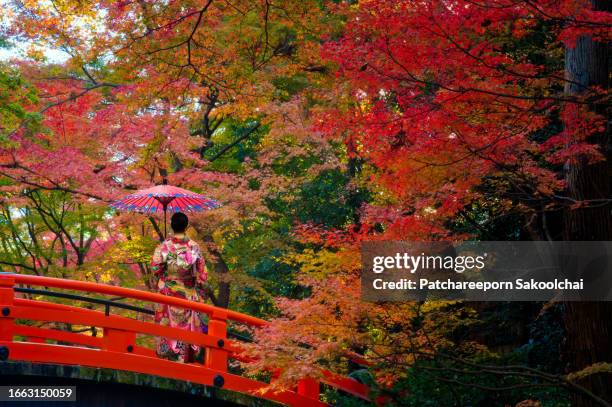 autumn in japan - satoyama scenery stock pictures, royalty-free photos & images