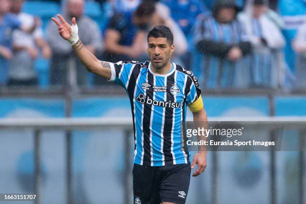 Luis Suárez of Gremio reacts during Brasileirao Serie A match between Gremio and Cuiba at Arena do Gremio on September 3, 2023 in Porto Alegre,...
