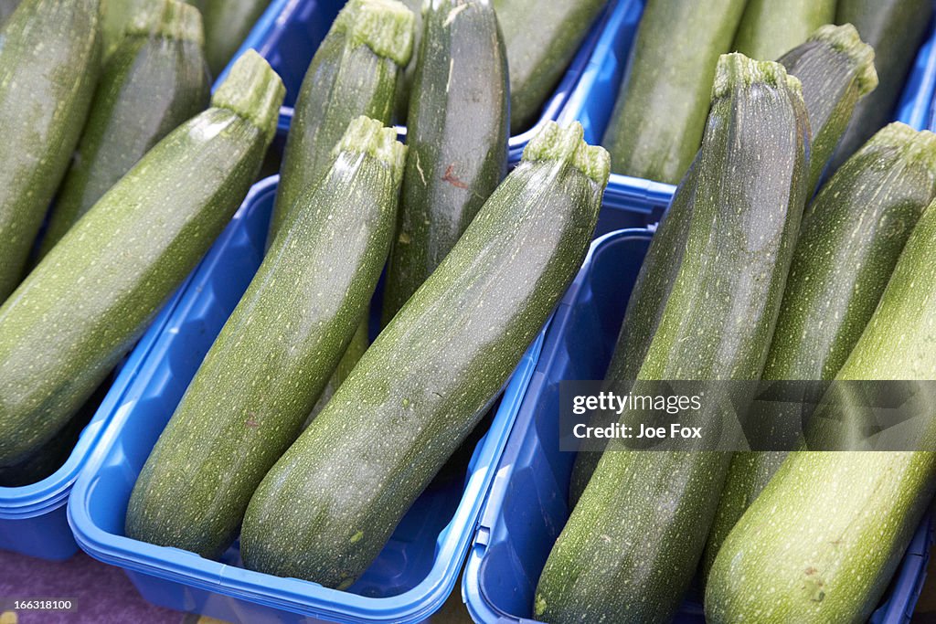 Organic zucchini courgettes packed in plastic box