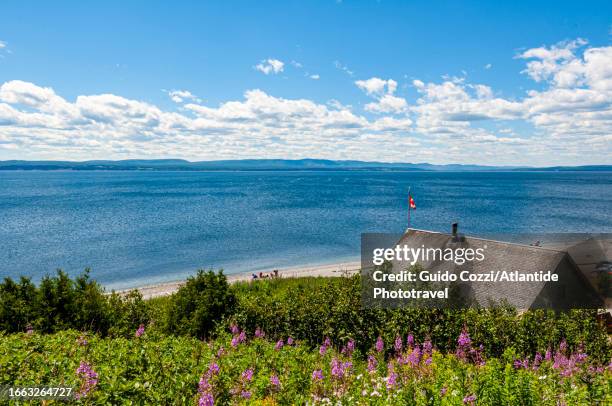 canada, quebec, cap aux os - forillon national park fotografías e imágenes de stock