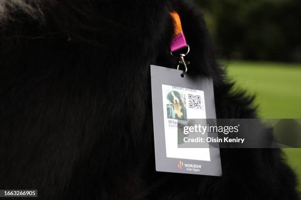 Detail view of the ground access pass of "Good Boy" Wilson, Dog owned by Padraig Harrington of Ireland during the Pro-Am prior to the Horizon Irish...