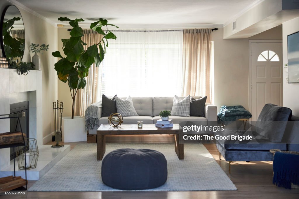 Modern brightly lit living room