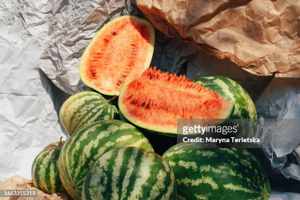 a lot of watermelons on a creative craft paper background. fruits. food. harvest. - sandia mountains fotografías e imágenes de stock