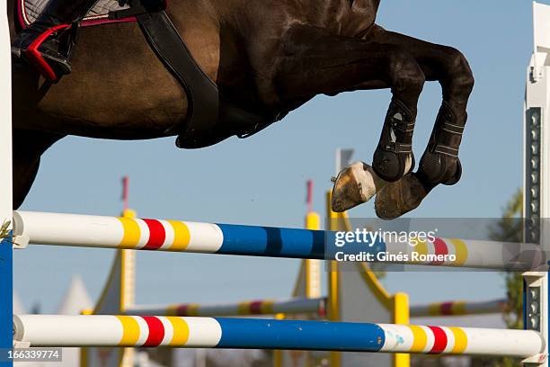 horse jump in a show competition - hindernisrace paardenrennen stockfoto's en -beelden