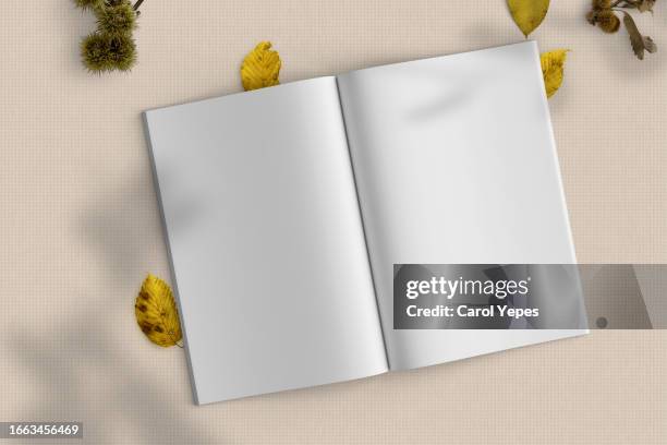 blank magazine page in beige autumn/fall surface - blank pages in open book overhead view stock pictures, royalty-free photos & images