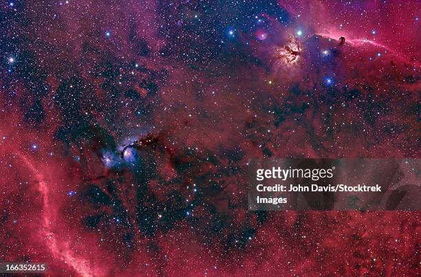 this widefield view in the orion constellation contains the horsehead nebula, flame nebula, m78, and barnard's loop. - infinity loop stockfoto's en -beelden