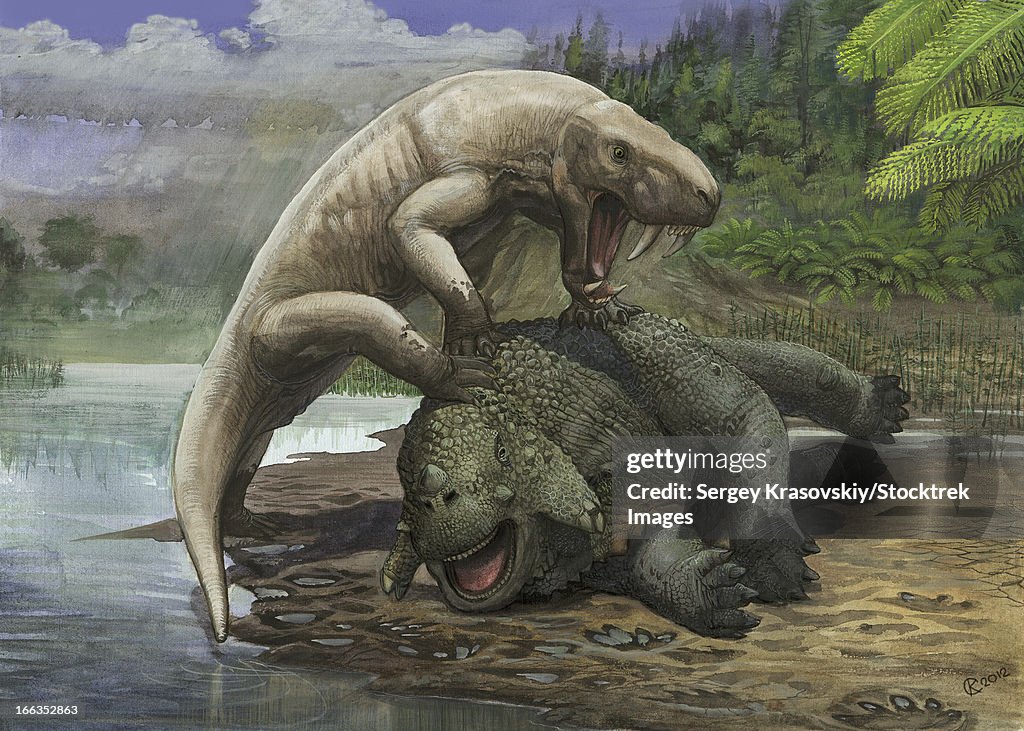 An Inostrancevia alexandri attacks a Scutosaurus karpinski in prehistoric times.
