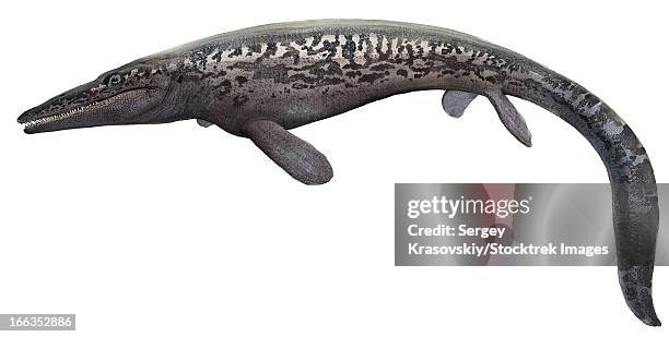 86点のモササウルスイラスト素材 Getty Images 86点のモササウルスイラスト素材 Getty Images