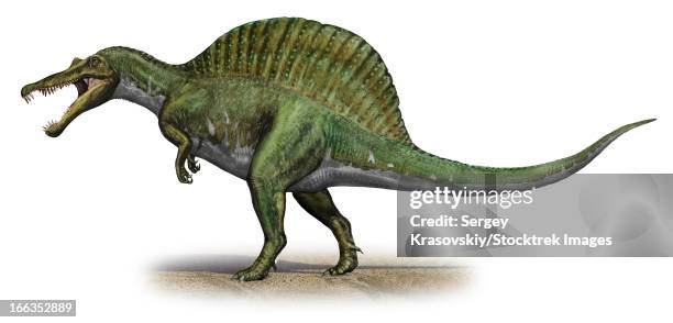 193点のスピノサウルスイラスト素材 Getty Images 193点のスピノサウルスイラスト素材 Getty Images