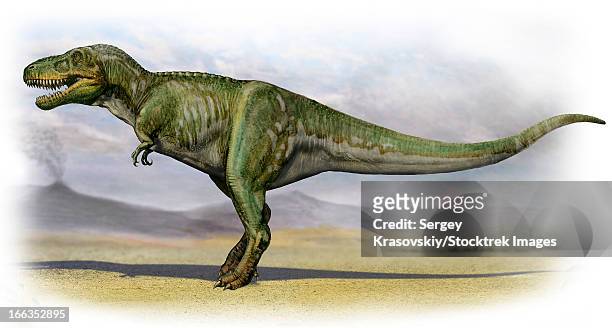 tarbosaurus bataar, a prehistoric era dinosaur from the late cretaceous period. - paleobiology stock illustrations