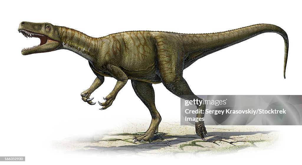Herrerasaurus ischigualastensis, a prehistoric era dinosaur from the Triassic period.