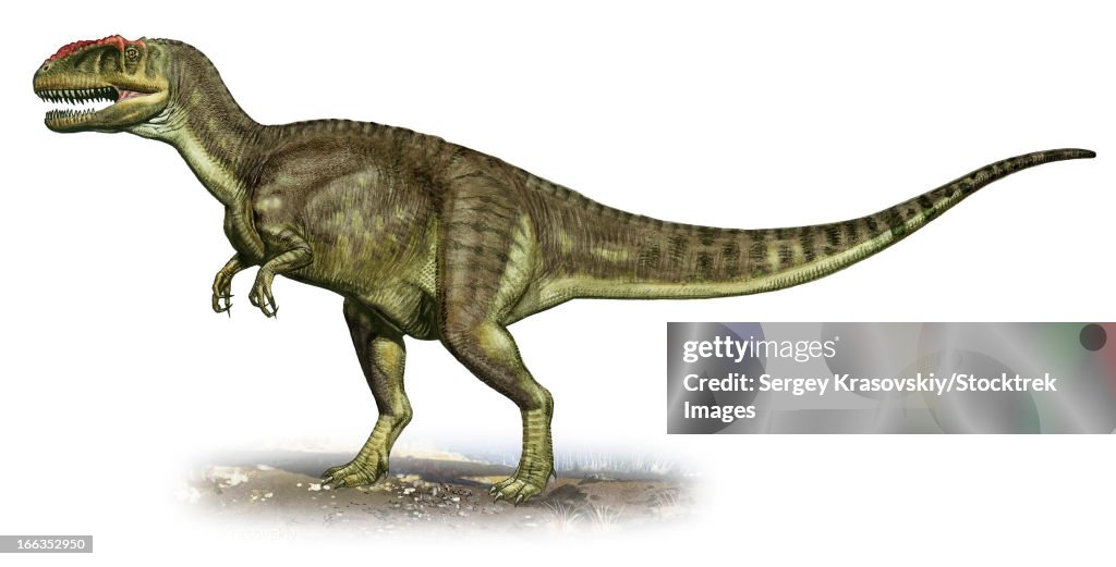 Yangchuanosaurus shangiouensis, a prehistoric era dinosaur from the Late Jurassic period.