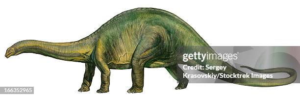 Brontosaurus Run 44 Brontosaurus Neck Stock Photos, High-Res Pictures, and Images ...