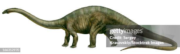 diplodocus (retro), a prehistoric era dinosaur from the jurassic period. - diplodocus stock-grafiken, -clipart, -cartoons und -symbole