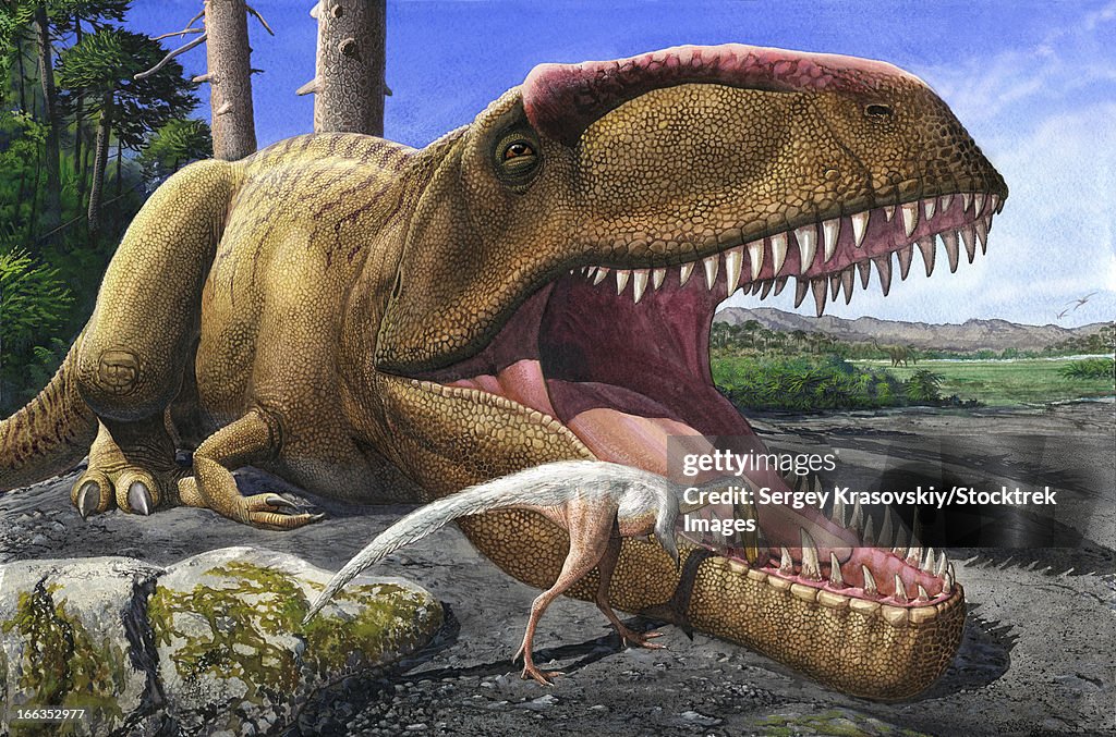 An Alvarezsaurid bird cleans the mouth of a Giganotosaurus carolinii dinosaur.