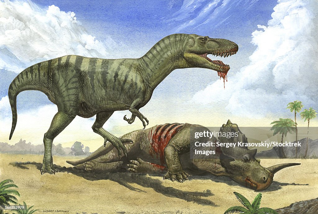 A Gorgosaurus libratus stands over the dead body of a Centrosaurus.